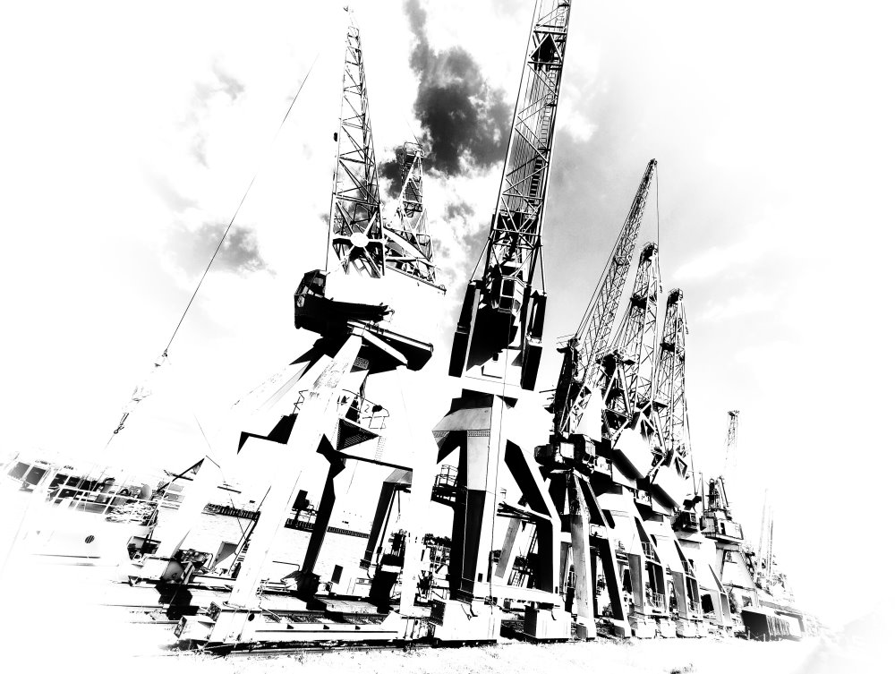 Bild aus der Serie Kräne im Hafen