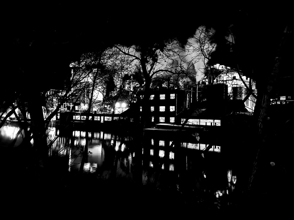 Bild aus der Serie Lokales gemischt